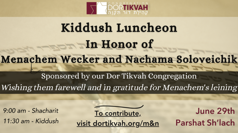 Banner Image for Kiddush Luncheon In Honor of Menachem Wecker and Nachama Soloveichik